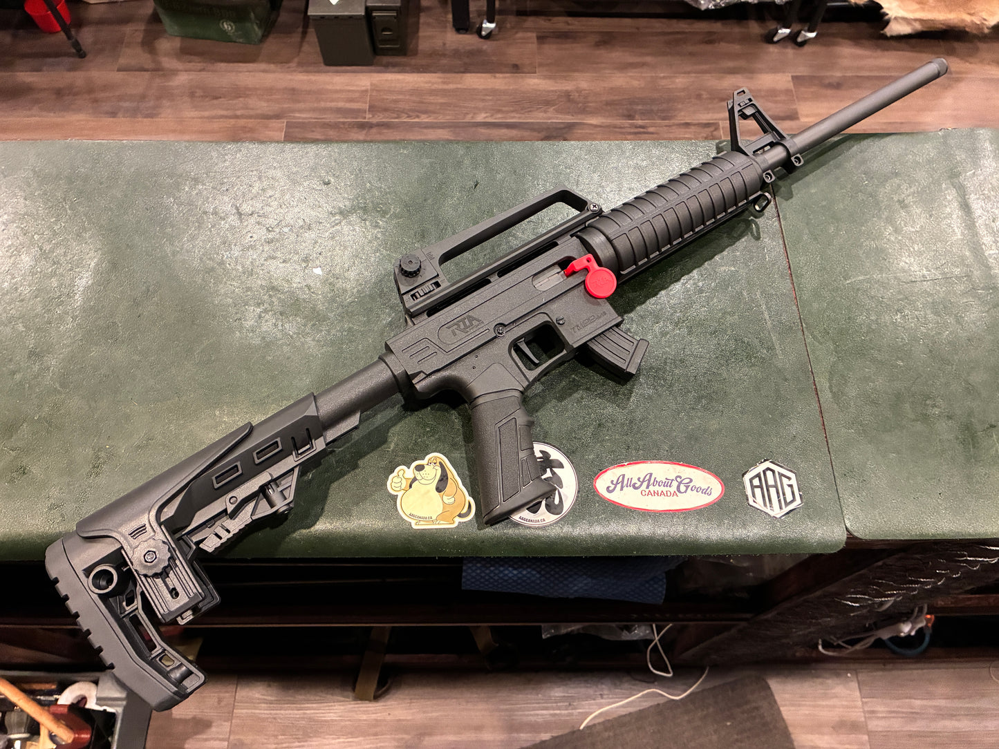 Rock Island Armory TM22 M16 Style .22 LR Semi-Auto Rifle – 2×10-Round & 1×25-Round Magazines