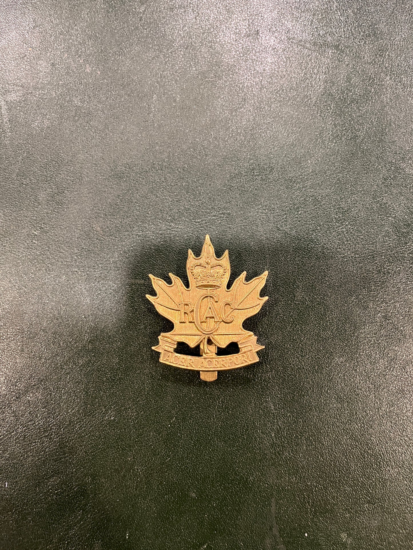 Insigne des forces alliées des Forces armées canadiennes de la reine Elizabeth II