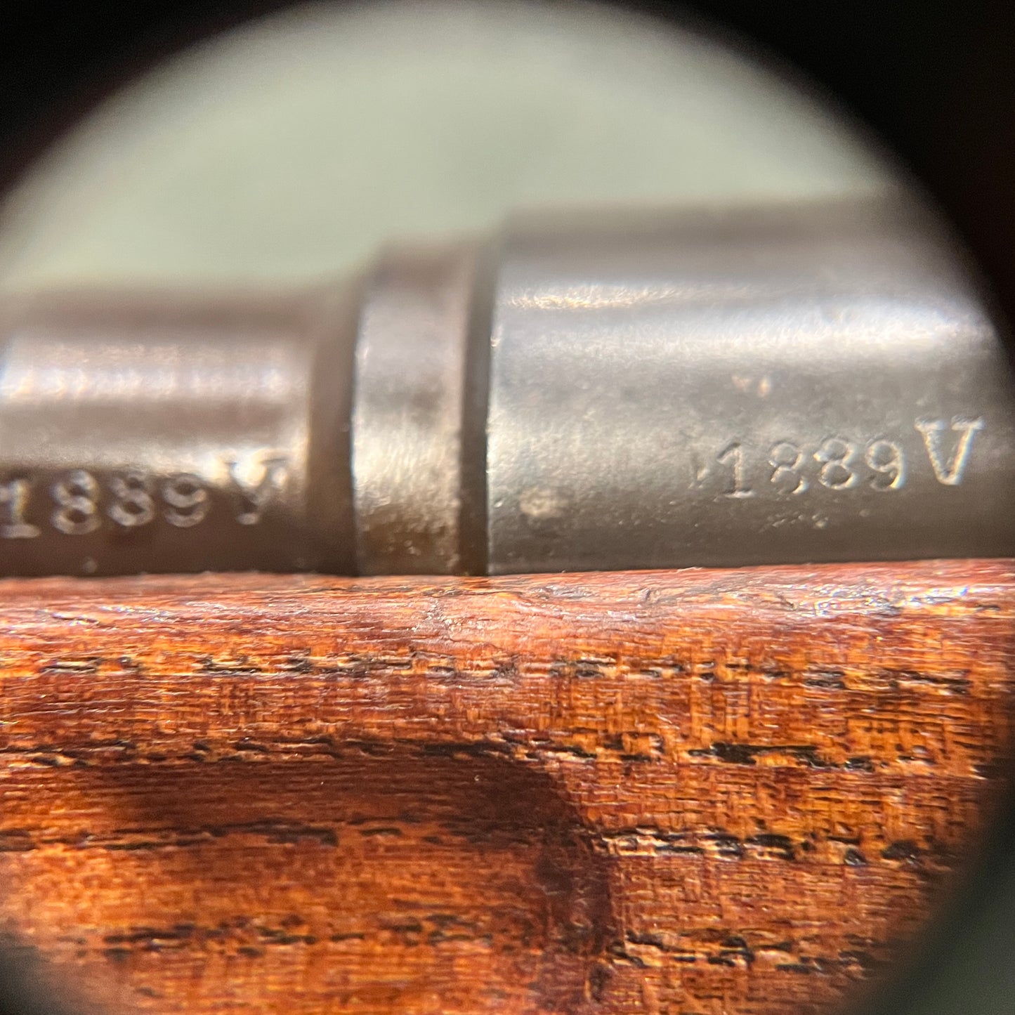 (Liquidation) Steyr M95 — Fusil de service austro-hongrois à verrou en 8×56R, canon de 31"