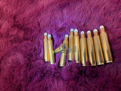 10 rounds — 5.56×45mm Blank Cartridges (White-Crimp Tip)
