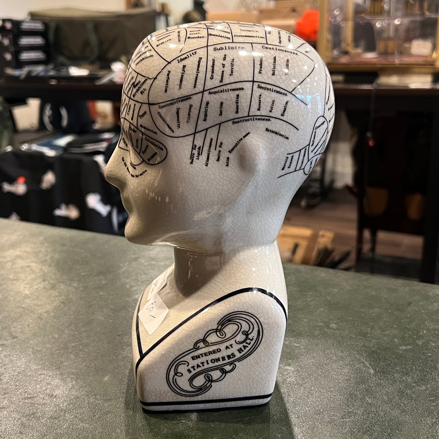 L.N. Fowler 颅相学陶瓷半身像 – 23 厘米 – 维多利亚经典科学珍品