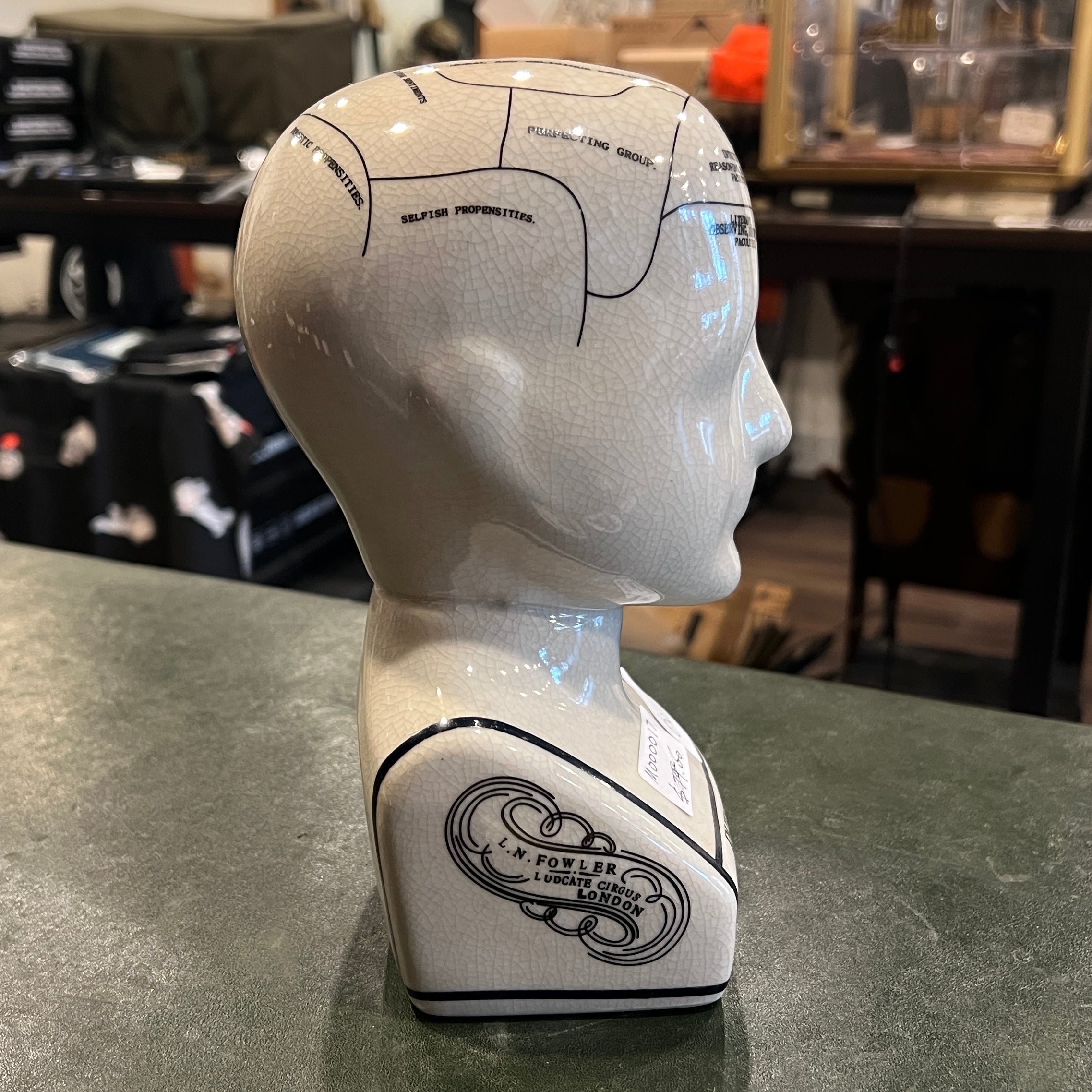 L.N. Fowler Phrenology Ceramic Bust – 23 cm – Classic Victorian