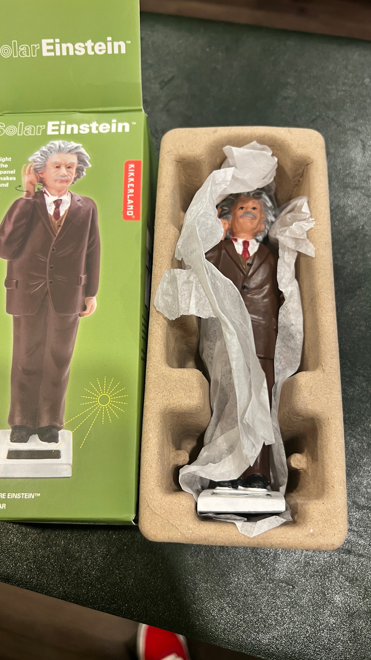 Einstein Solar Figurine