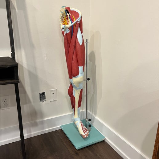 Artificial leg