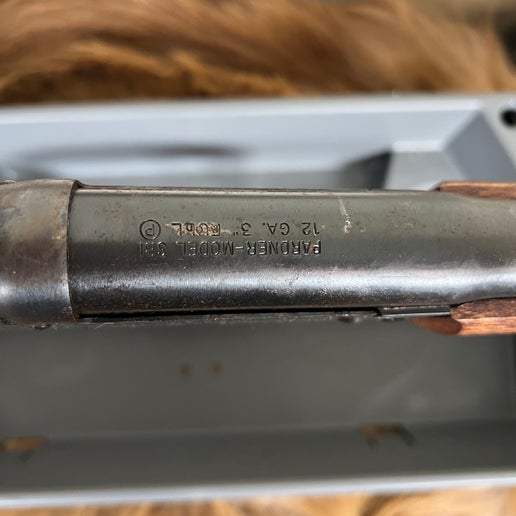 New England Firearms SB1 in 12 Ga. 3"