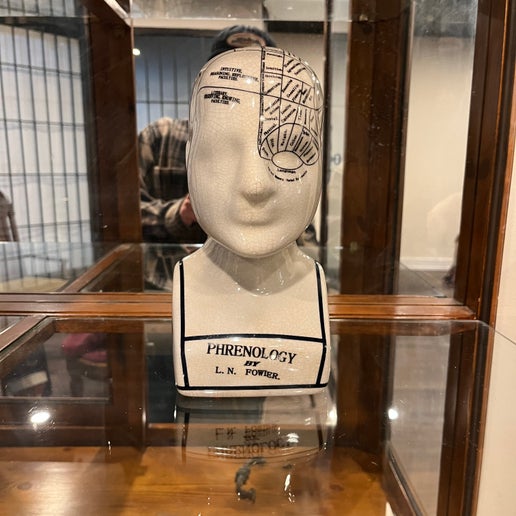 Phrenology Head Bust